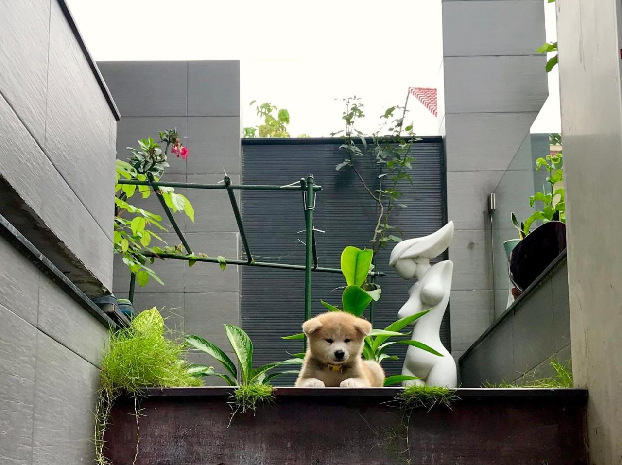 Greenwood Villa Saigon Ho Či Minovo Město Exteriér fotografie